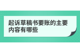 兴国为什么选择专业追讨公司来处理您的债务纠纷？